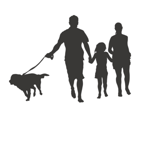 Walks and Waggles